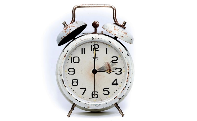 Time Traveler's Wife